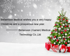 Actividad de formación de equipos de Navidad de Bellamoon (Xiamen) Medical Technology Co., Ltd.